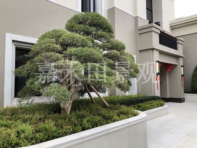 如何選擇專業(yè)的景觀設(shè)計(jì)師或施工隊(duì)伍？